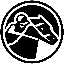 zkRace