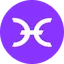 Holo