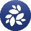 NKN