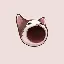 Popcat (SOL)