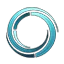 ChainSwap