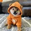 Dog (Bitcoin)