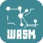 ZKWASM
