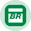 Petrobras Tokenized Stock (Ondo)