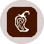 Chipotle Tokenized Stock (Ondo)