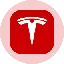 Tesla Tokenized Stock (Ondo)
