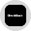 Blackrock, Inc. Tokenized Stock (Ondo)