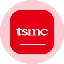 Taiwan Semiconductor Manufacturing Tokenized Stock (Ondo)