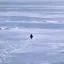 Nietzschean Penguin